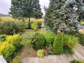 Vorgarten - Einfamilienhaus mit 177,00 m² in Norderstedt zum Kaufen