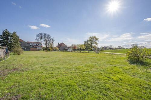Garten - 