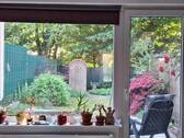 Bild 9 - 