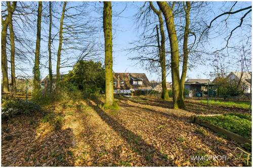 23. Waldstück.jpg - 