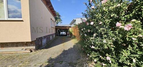 Hausansicht 3 - 5 Zimmer Einfamilienhaus in Viernheim