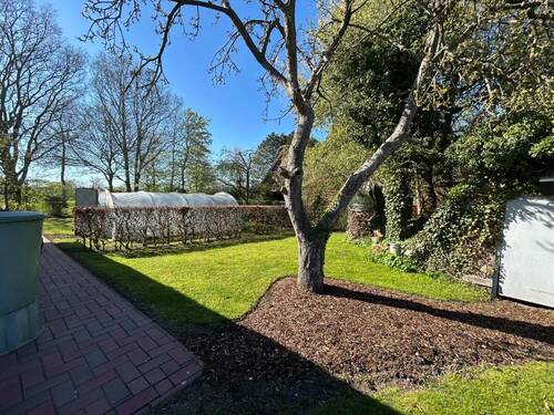 hinterer Garten - 
