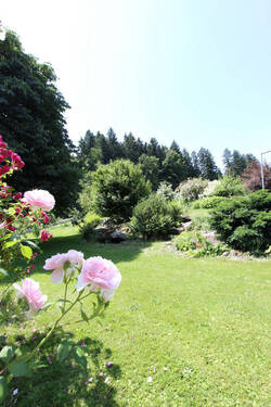 Bild4 - Mehrfamilienhaus, Wohnhaus mit 400,00 m² in Waldburg zum Kaufen