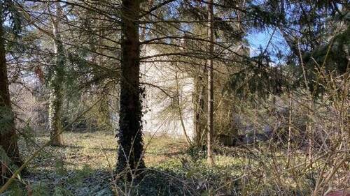 Bild 4 - Grundstück in Heidesee zum Kaufen
