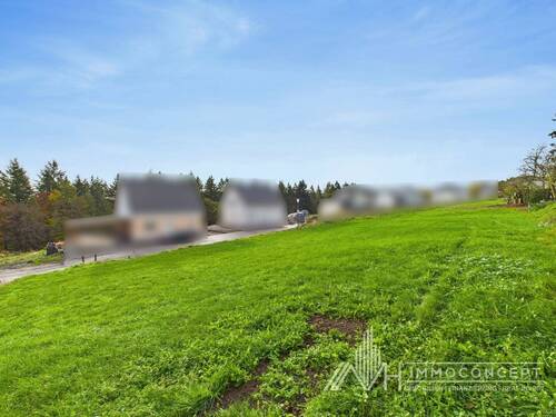 CAM04062G0-PR0052-STILL008.jpg - 