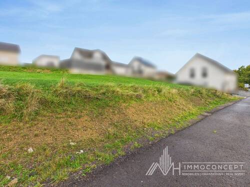 CAM04062G0-PR0052-STILL004.jpg - 