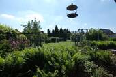 3264 Garten (2) - 