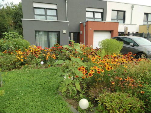 Bild 2 - 5 Zimmer Reihenendhaus zum Kaufen in Wolfsburg