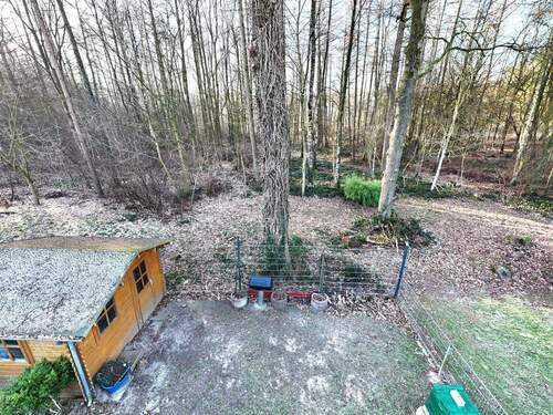 Blick in Wald - 