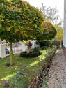 Vorgarten - 