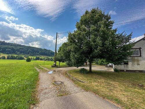 Weitblick ins Grüne - 