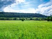 Zugehörige Wiesengrundstücke - 
