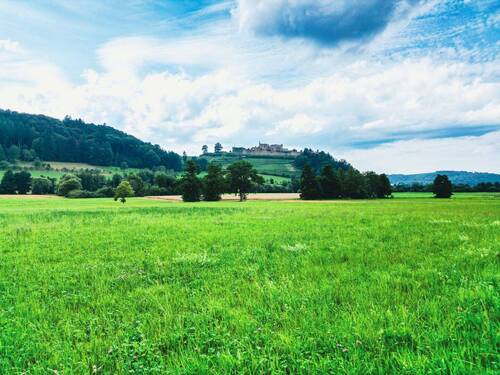 Zugehörige Wiesengrundstücke - 