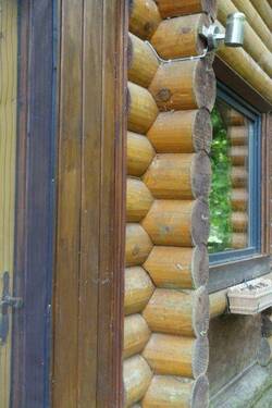 Detail Holzstämme - 