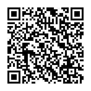 QR-Code - 
