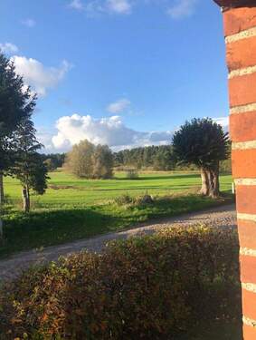 Blick nach Westen zum Wald - 