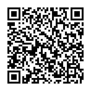 QR-Code - 