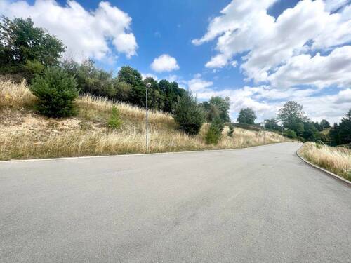 Bestand erschlossen - 