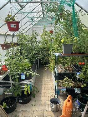 Gewächshaus - 