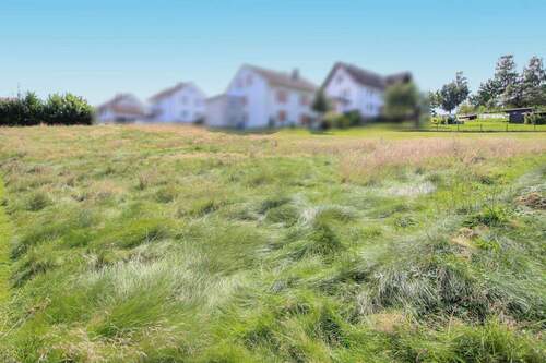 Ansicht Süd - Grundstück zum Kaufen in Schieder-Schwalenberg