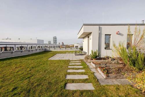 Gemeinschaftsdachgarten - 