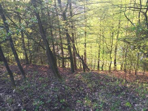 Bild 4 - Bauernhaus, Landhaus mit 60,00 m&sup2; in Adlkofen zum Kaufen