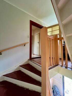 OG - 