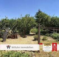 Doppelhaushälfte mit großem, durchgrüntem Grundstück! | Schöner Vorgarten und Garage! - Schkeuditz