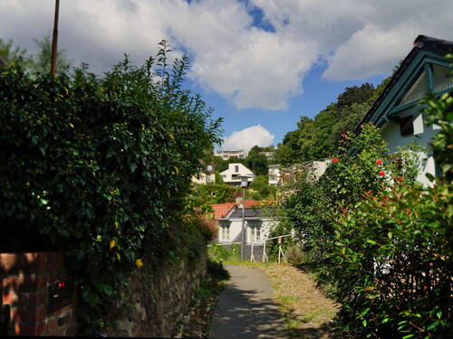 Umgebung - 