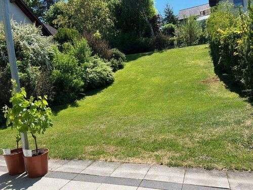 Blick in den Garten - 