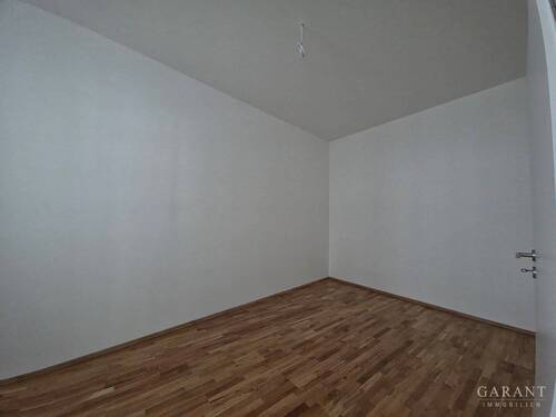 IMG-20260318-WA0025 - 