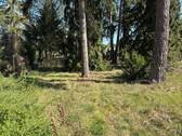 Blick auf das Grundstück - Grundstück zum Kaufen in Petershagen/Eggersdorf