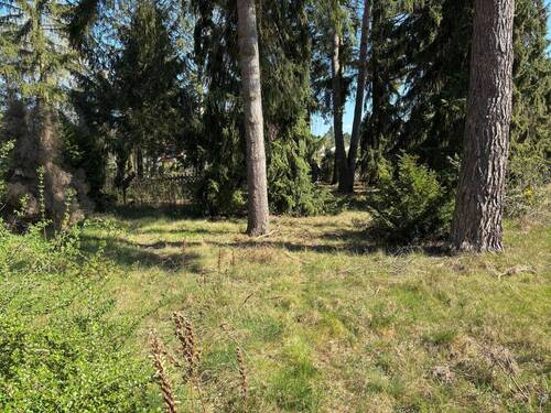 Blick auf das Grundstück - Grundstück zum Kaufen in Petershagen/Eggersdorf