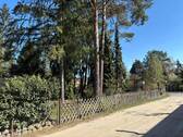 Blick vom Mittelweg - 