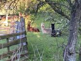 Bild 11 - 