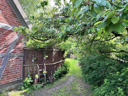 Bild 12 - 