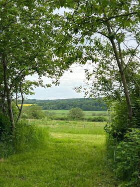Bild 20 - 