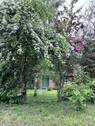 Bild 27 - 
