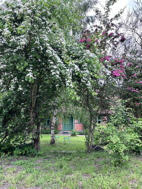 Bild 27 - 