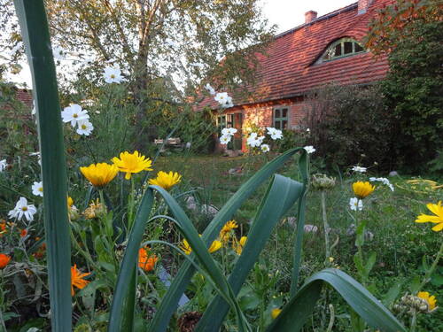 Bild 4 - Mehrfamilienhaus, Wohnhaus mit 330,00 m&sup2; in Daberkow zum Kaufen