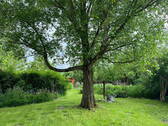 Bild 9 - 