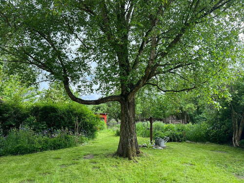 Bild 9 - 