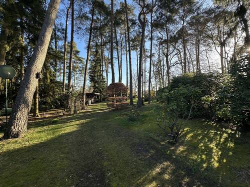  Zugang auf das Grundstück - 2 Zimmer Mehrfamilienhaus, Wohnhaus in Winsen / Aller