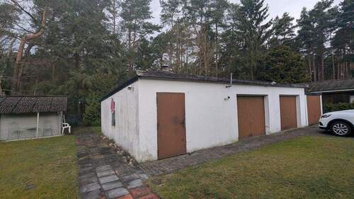 k-PXL_20260311_090137150.jpg - 