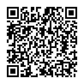 QR-Code - 