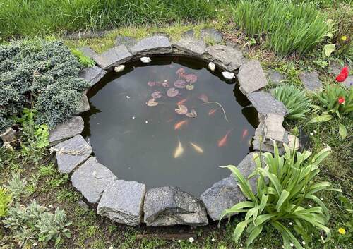 kleiner Teich im Vorgarten - 