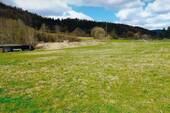 Wiesenfläche - Wiesengrundstück in 96528 Frankenblick, OT Grümpen