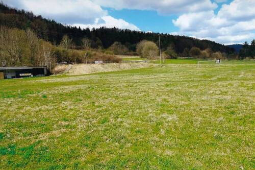 Wiesenfläche - Wiesengrundstück in 96528 Frankenblick, OT Grümpen