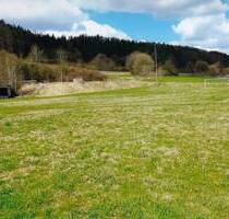 Wiesengrundstück in 96528 Frankenblick, OT Grümpen