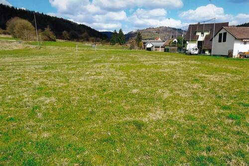 Wiesenfläche - Grundstück in Frankenblick